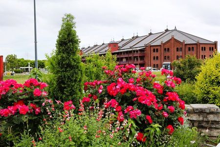 Yokohama Walking Tour Explore Japan Gateway to the World