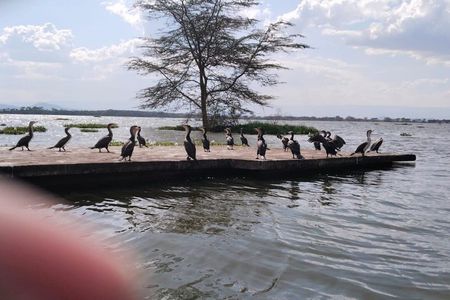 Hell’s Gate, Naivasha & Crescent Island Day Safari