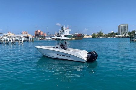 27ft Dream Life Private Charter in Nassau
