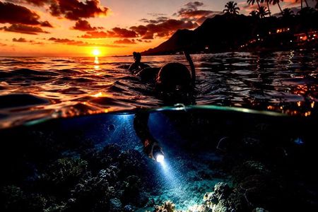 Golden Hour Glow Snorkel: Snorkel With Sea Turtles