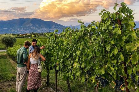 Tasting with winery visit in the heart of Franciacorta