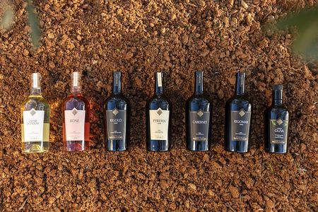 Maremma Wine Experience: 5 Wines & Local Specialties