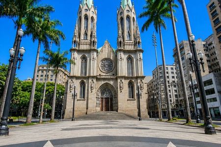 6H São Paulo Essential Private Tour and Gastronomic Experience