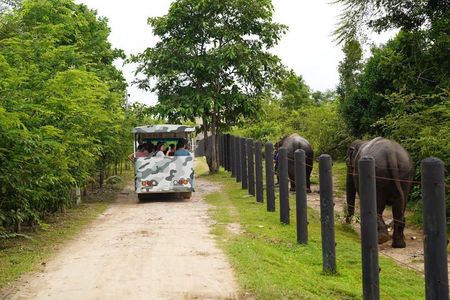 Hua Hin Wildlife Rescue Centre & Elephant Refuge Day Trip