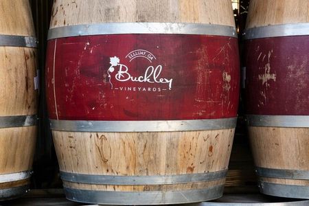 Private Vineyard Tour in Ellijay, Georgia