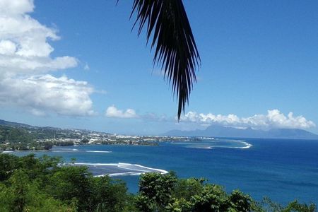 Shared Half Day Tahiti Circle Island Tour - Min 2 and up to 8