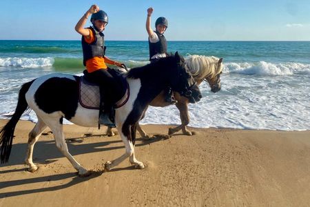 Private Horse Riding and Kourouta Beach Tour from Katakolo
