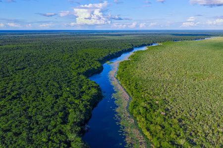 K'u' Áayin Immersive Nature Conservation Experience
