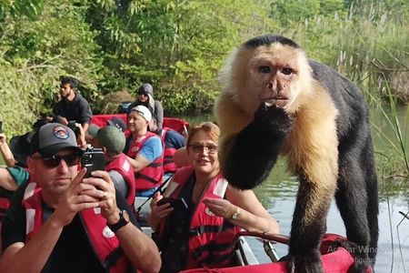 Panama Canal Animal Safari + Fruit Market