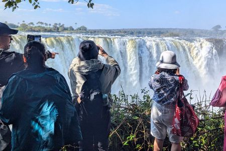 Victoria Falls Leisure Walk & Big Tree Experience
