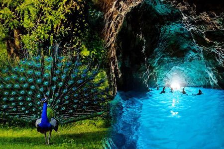 Lokrum & Blue Cave - Full Day Tour (Lokrum Ticket Included)