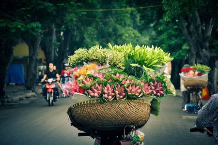 4 Hour Private Tour Hanoi Local Experience Food Coffee Wellness