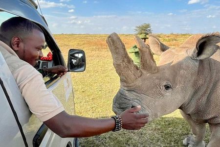 4-Day Northern Kenya Special Five & Rhino Safari