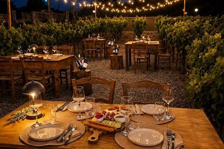 Vynea Wine Tasting Experience