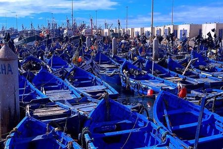 Essaouira day trip private tours
