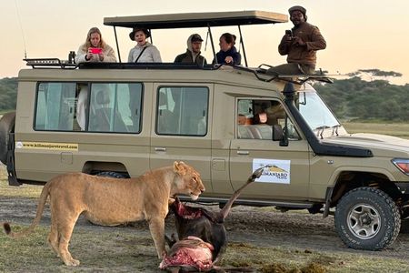Classic Tanzania Safari: Tarangire, Serengeti & Ngorongoro