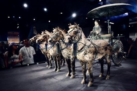 Private Tour to Terracotta Army & Bronze Chariots(Lishan Garden)
