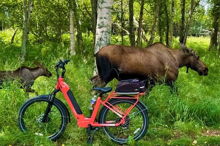 Go eBike Alaska on Tony Knowles Trail