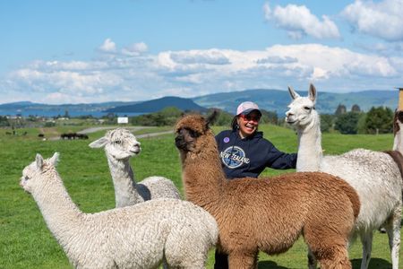 Rotorua Farm & Forest Private Tour from Auckland