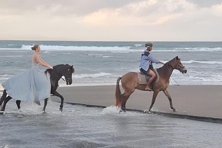 Bali Horse Riding, Waterfall, Rice Terrace, Lunch - All Inclusive