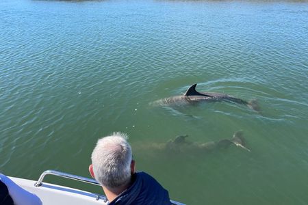 Private Dolphin Watch, Lighthouse and Ecological Boat Tours