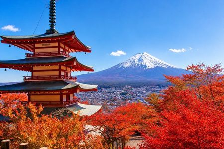 Mt.Fuji, Arakurayama, Oishi Park, & Lake Kawaguchiko from Tokyo