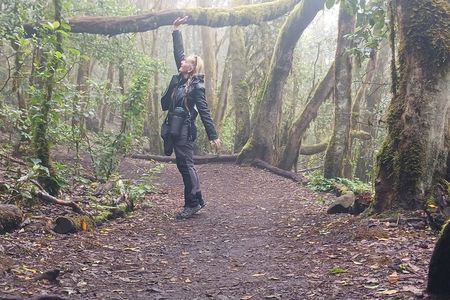 Private Tour Discover El Hierro Forests, Viewpoints or Snorkeling