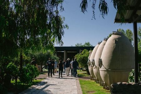 Visit Casa Vigil -El Enemigo + Laur Olive Company