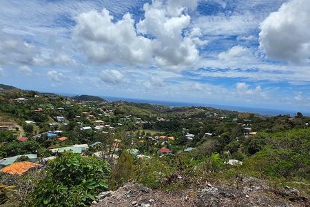 South Grenada Discovery Tour