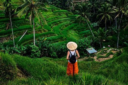 Ubud Full Day Rice Terrace, Monkey Forest, Waterfall, Art Village