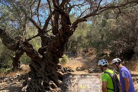 Guided EBike Adventure and Olive Oil Tasting in Corfu