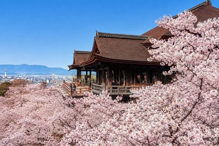 1 Day Kyoto UNESCO World Heritage Sites Bus Tour