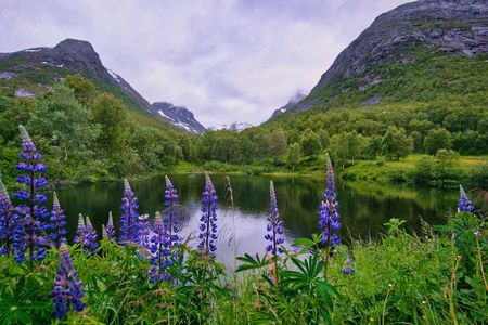 Day Tour_The Ultimate Kvaløya Fjord Tour