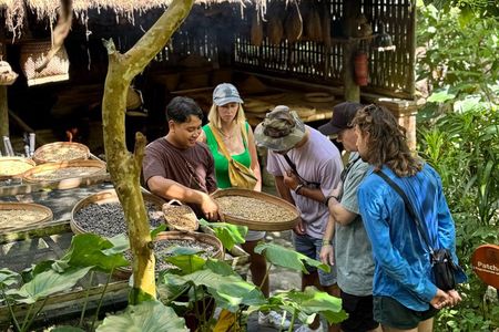 Customizable 10 Hour Private Bali Customizable Tour with Driver