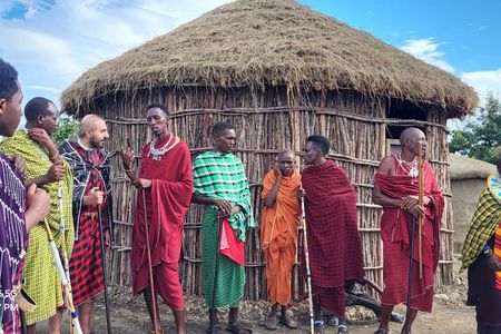 Maasai Village & Hot Springs or Materuni Waterfalls+Coffee Tour
