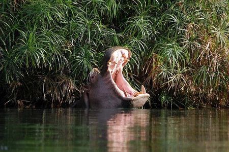 3 Day Safari to Tsavo East and Tsavo West from Coastal Beaches