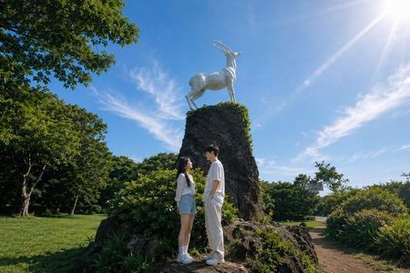 Jeju Round Island Grand Highlights