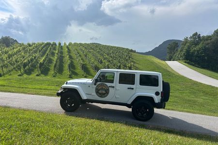 Private Dahlonega Winery and Waterfall Tour by Jeep