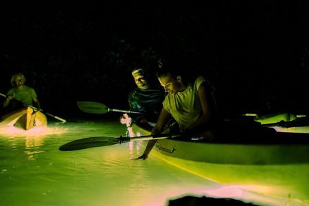 Night Mangrove Kayak Tour