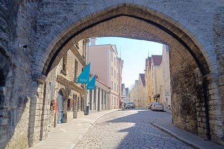 From Carnivals to Epidemics - Medieval Tallinn