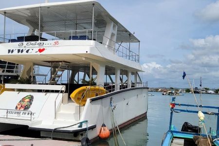 Whale Watching Mirissa with ( WWC )