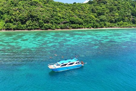 Phi Phi & Bamboo Islands w/ Lunch by Speedboat or Speed Catamaran