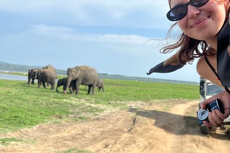 Minneriya National Park Private Jeep Safari Halfday with Pickup