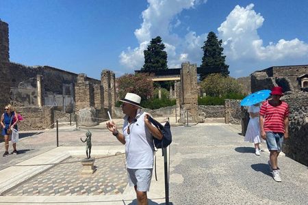 Pompeii Express Guided Tour by Train from Sorrento