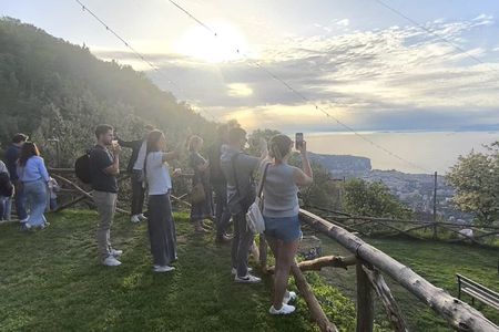 Sorrento Farm Day Tour: Pizza Class, Cheese Making, Wine, Pickup