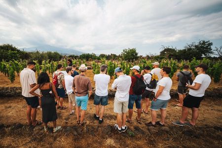 Etna Urban Winery - Sunset vineyard Walk and Tasting Dinner