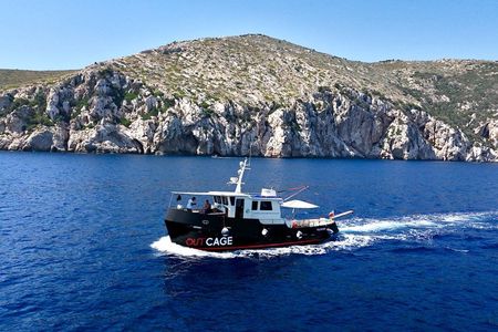 Golfo Aranci 3-hour cruise: dolphins and aperitif on vintage yachts