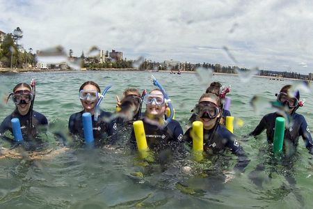 Guided Snorkel Tours in Sydney's Cabbage Tree Bay