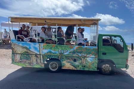 St Kitts 2 Hour Heritage and Coastal Tour with Drinks
