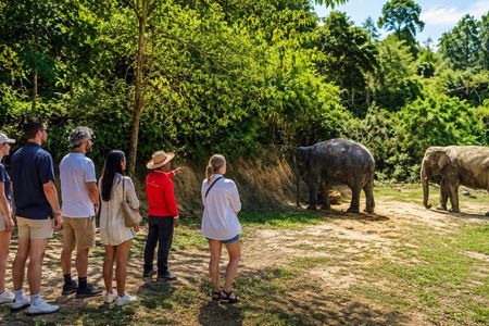 Patong Highlight Elephant Sanctuary with Guide Tour